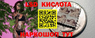 мяу мяу мука Будённовск