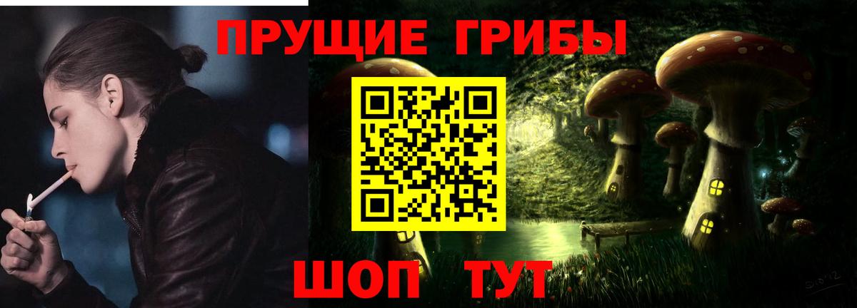 Миллерово  Галлюциногенные грибы GOLDEN TEACHER  Вход с VPN 